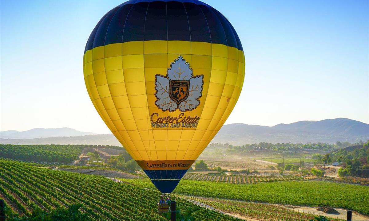 Hot air balloon over vineyard